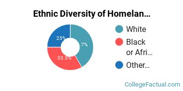 Ethnic Diversity of Homeland Security, Law Enforcement & Firefighting Majors at Belmont Abbey College
