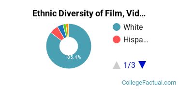 Ethnic Diversity of Film, Video & Photographic Arts Majors at Belmont University