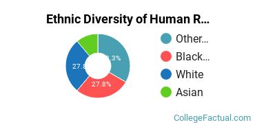 Ethnic Diversity of Human Resource Management Majors at Benedictine University