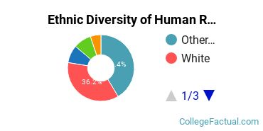 Ethnic Diversity of Human Resource Management Majors at Benedictine University