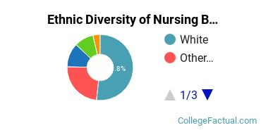 Ethnic Diversity of Nursing Majors at Benedictine University