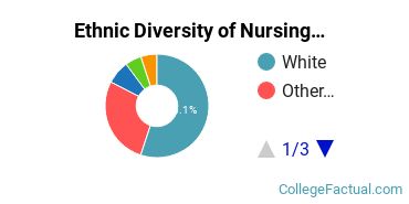 Ethnic Diversity of Nursing Majors at Benedictine University