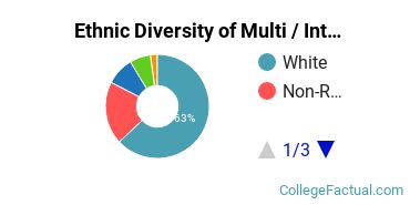 Ethnic Diversity of Multi / Interdisciplinary Studies Majors at Bentley University