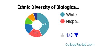 Ethnic Diversity of Biological & Biomedical Sciences Majors at Berea College
