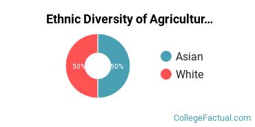 Ethnic Diversity of Agriculture & Agriculture Operations Majors at Bergin University of Canine Studies