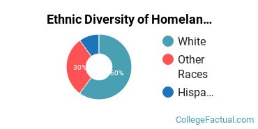 Ethnic Diversity of Homeland Security, Law Enforcement & Firefighting Majors at Berkshire Community College
