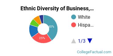 Ethnic Diversity of Business, Management & Marketing Majors at Bethany College Kansas