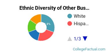 Ethnic Diversity of Other Business, Management & Marketing Majors at Bethany College Kansas