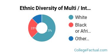 Ethnic Diversity of Multi / Interdisciplinary Studies Majors at Bethel College - Mishawaka