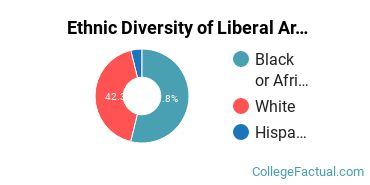 Ethnic Diversity of Liberal Arts / Sciences & Humanities Majors at Bethel University