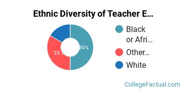 Ethnic Diversity of Teacher Education Subject Specific Majors at Bethune - Cookman University