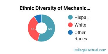 Ethnic Diversity of Mechanic & Repair Technologies Majors at Big Bend Community College