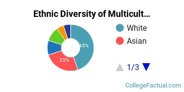 Ethnic Diversity of Multicultural & Diversity Studies Majors at Biola University