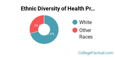 Ethnic Diversity of Health Professions Majors at Blessing Rieman College of Nursing and Health Sciences