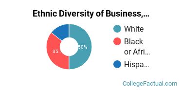 Ethnic Diversity of Business, Management & Marketing Majors at Bluefield State College