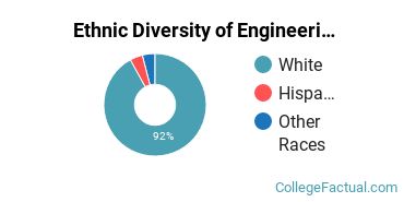 Ethnic Diversity of Engineering Technologies Majors at Bluefield State College