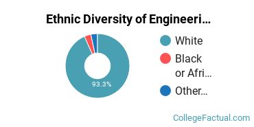 Ethnic Diversity of Engineering Technologies Majors at Bluefield State College