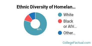 Ethnic Diversity of Homeland Security, Law Enforcement & Firefighting Majors at Bluefield State College