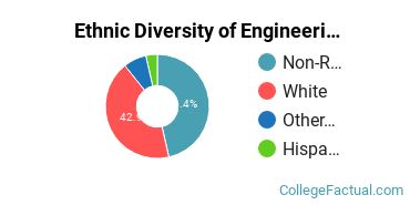 Ethnic Diversity of Engineering Majors at Boise State University