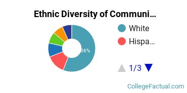 Ethnic Diversity of Communication & Journalism Majors at Boston College