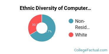 Ethnic Diversity of Computer Engineering Majors at Boston University