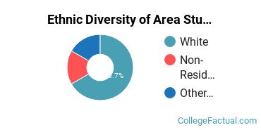 Ethnic Diversity of Area Studies Majors at Boston University