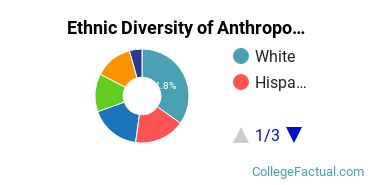 Ethnic Diversity of Anthropology Majors at Boston University