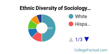 Ethnic Diversity of Sociology Majors at Boston University