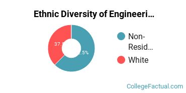 Ethnic Diversity of Engineering Majors at Bowling Green State University - Main Campus