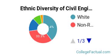 Ethnic Diversity of Civil Engineering Majors at Bradley University