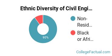 Ethnic Diversity of Civil Engineering Majors at Bradley University