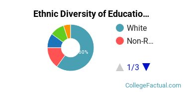 Ethnic Diversity of Education Majors at Brandeis University