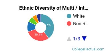 Ethnic Diversity of Multi / Interdisciplinary Studies Majors at Brandeis University