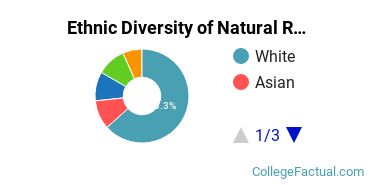 Ethnic Diversity of Natural Resources & Conservation Majors at Brandeis University