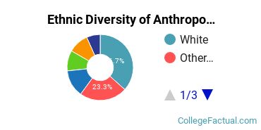 Ethnic Diversity of Anthropology Majors at Brandeis University