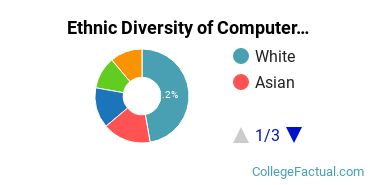 Ethnic Diversity of Computer & Information Sciences Majors at Brandman University