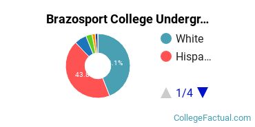 BC Undergraduate Racial-Ethnic Diversity Pie Chart