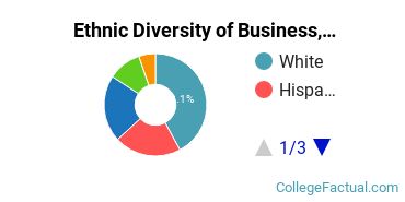Ethnic Diversity of Business, Management & Marketing Majors at Brevard College