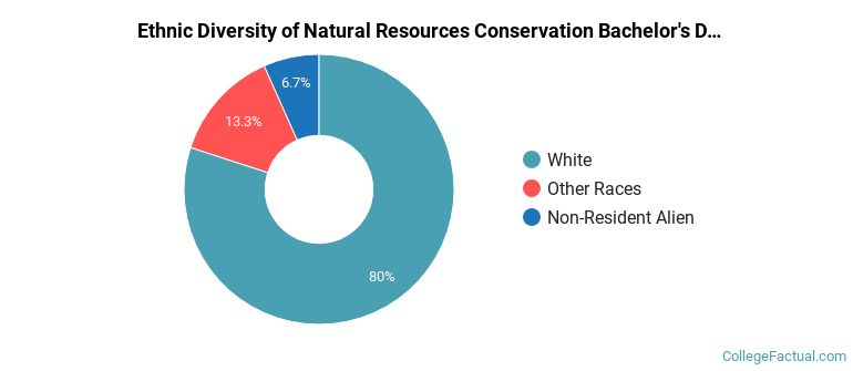 Ethnic diversity of Natural Resources Conservation majors at Brevard College