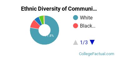 Ethnic Diversity of Communication & Journalism Majors at Bridgewater State University