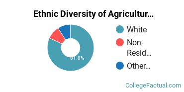 Ethnic Diversity of Agriculture & Agriculture Operations Majors at Brigham Young University - Idaho