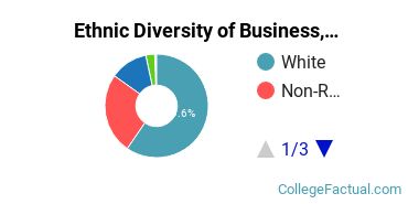 Ethnic Diversity of Business, Management & Marketing Majors at Brigham Young University - Idaho