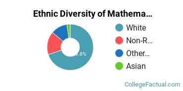 Ethnic Diversity of Mathematics & Statistics Majors at Brigham Young University - Idaho