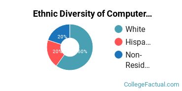 Ethnic Diversity of Computer Information Systems Majors at Brigham Young University - Provo