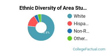 Ethnic Diversity of Area Studies Majors at Brigham Young University - Provo