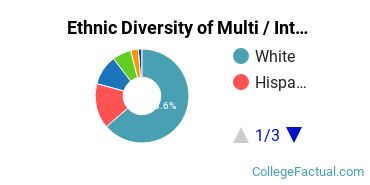 Ethnic Diversity of Multi / Interdisciplinary Studies Majors at Brookdale Community College