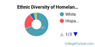 Ethnic Diversity of Homeland Security, Law Enforcement & Firefighting Majors at Brookdale Community College
