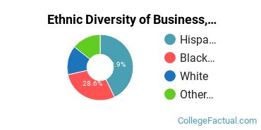 Ethnic Diversity of Business, Management & Marketing Majors at Brookline College - Phoenix