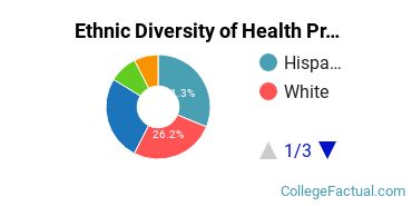 Ethnic Diversity of Health Professions Majors at Brookline College - Phoenix