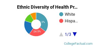 Ethnic Diversity of Health Professions Majors at Brookline College - Phoenix